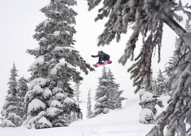 snow - stalefish melon in the trees