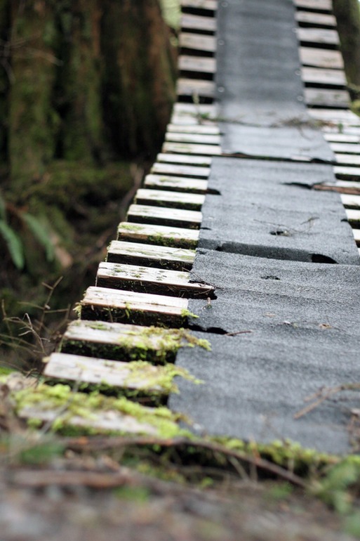 tarpaper trails